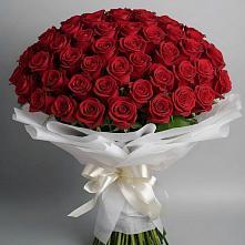 Букет 101 Красная роза Блэк Мэджик в Пестравка