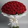 Букет 101 Красная роза Блэк Мэджик в Пестравка