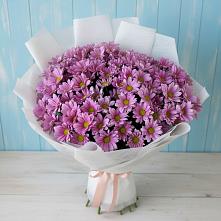 Букет цветов из:  Хризантемы в Пестравка