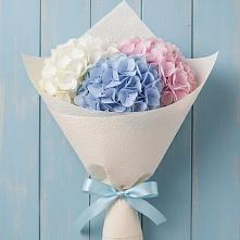 Букет цветов из:  Гортензия #REPLACE_PRED# Пестравка