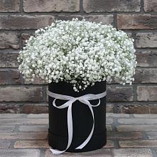 Цветочная композиция из Гипсофила в шляпной коробке #REPLACE_PRED# Пестравка