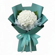 Букет цветов из:  Гортензия в Пестравка